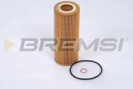 Фильтр масляный BMW 3 (E46/E90) /5 (E60/E61)/7 (E65-67) 2.5-3.5d BREMSI FL0276