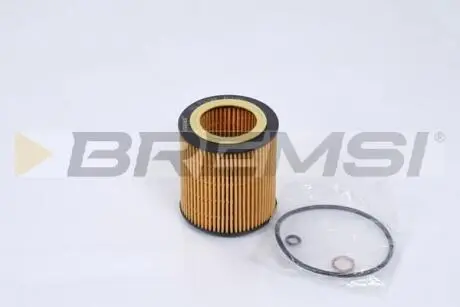 Фільтр масляний BMW (E90/F30)/5 (E60/F10) 05-16 (N52/N53/N20/N55) BREMSI FL1281
