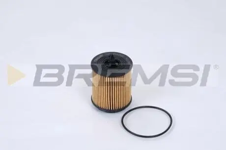 Фільтр масляний Opel Astra G/Vectra B/C 2.2i 00- BREMSI FL1285