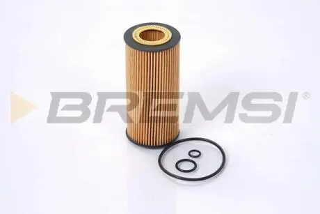 Фильтр масляный MB E-class (W210/W211)/S-class (W220) 3.2CDI 99-09 (OM648/OM613) BREMSI FL1291