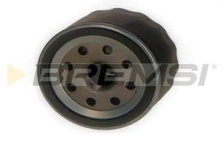 Фільтр масляний Renault Kangoo/Trafic/Opel Vivaro 1.9D/1.5dCi/1.4i/1.6i (53mm) BREMSI FL1455