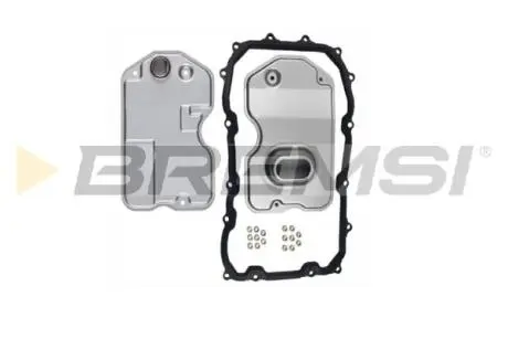 Фільтр АКПП VW Touareg/Porsche Cayenne 3.0-5.0 TDI 02-10 (з прокладкою) BREMSI FR0225