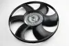Термомуфта Sprinter 2.2CDI/Crafter 06- BSG BSG 60-505-007 (фото 4)