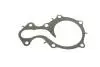 Помпа води Ford C-Max II/Focus III/Mondeo V/Fiesta/Transit Courier 1.0 EcoBoost/1.1 12-(R/B)(6 лоп) BUGATTI PA10223 (фото 7)