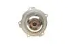 Помпа води Audi A4/A6/Skoda Felicia/VW Golf/Caddy/Passat/Polo 1.9D/TDI/SDI 95-(R/B)(6лоп) BUGATTI PA5108 (фото 2)