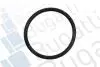 Помпа води Citroen C5/C6/C8/Peugeot 406/407/607/Renault Clio/Laguna 3.0 V6 01- (R/B) (8 лоп.) BUGATTI PA7410 (фото 2)