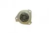 Помпа води VW Golf IV/Jetta IV/Passat IV/V/Seat Toledo 2.3 V5 97-05 (R/B) (7 лоп) BUGATTI PA8708 (фото 2)
