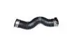 Патрубок интеркулера BMW 3 (E91,E92) 320d 07-, X1 (E84) sDrive 20d 09-15 BUGIAD 81672 (фото 1)