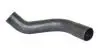Патрубок інтеркулера Citroen Jumpy (U6U) 2.0 HDi 00-/Peugeot 806 (221) 2.0 HDI 99- BUGIAD 88716 (фото 1)