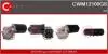 Электродвигатель CASCO CWM12100GS (фото 1)