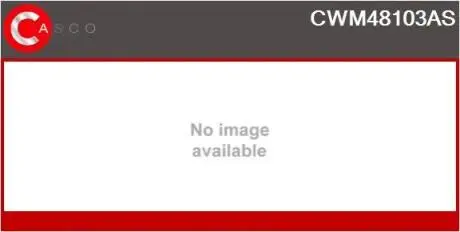 Электродвигатель CASCO CWM48103AS