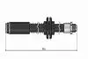 Тормозной шланг (передний) Fiat Scudo/Peugeot Expert 1.6-2.0/1.9TD 95-07 Cavo C900 699A (фото 1)