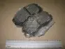 Гальмівні колодки передні KIA Sportage, Soul, Optima / Hyundai Tucson, Sonata, Elantra CHAMPION 572514CH (фото 4)