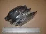 Тормозные колодки передние Renault Captur, Clio, Duster, Fluence, Megane, Scenic, Zoe / Nissan / Daci CHAMPION 573268CH (фото 2)