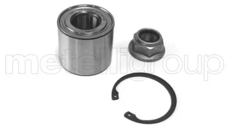 Подшипник ступицы (задней) Renault Megane II/Scenic II 03- (25x55x48) (к-кт) CIFAM 6192735