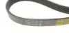 Комплект ременя генератора Citroen Berlingo/ Partner 1.6 HDi 08- (6PK 975) Citroen/Peugeot 1611277880 (фото 4)
