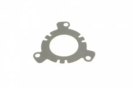 Прокладка ТНВД Citroen Jumpy/Peugeot Expert 2.0 HDi 00- PSA Citroen/Peugeot 1927.24
