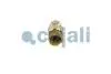 Датчик тиску палива MAN TGL I, TGM I, TGS I, TGX I D0834LFL40-D2676LF57 04.05-03.22 COJALI 2260987 (фото 2)