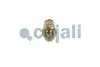Датчик тиску палива MAN TGL I, TGM I, TGS I, TGX I D0834LFL40-D2676LF57 04.05-03.22 COJALI 2260987 (фото 3)