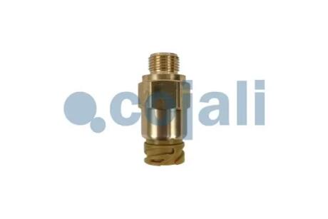 Автозапчасть COJALI 2260987