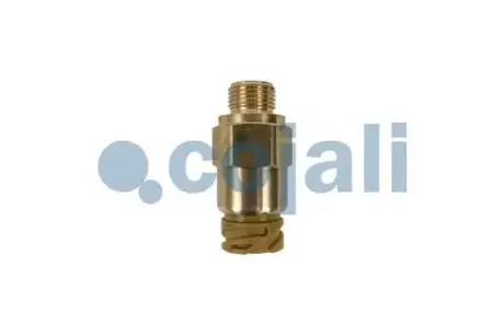 Датчик тиску палива MAN TGL I, TGM I, TGS I, TGX I D0834LFL40-D2676LF57 04.05-03.22 COJALI 2260987