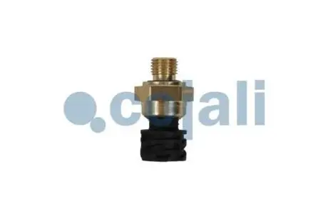 Датчик тиску у впускному колекторі DAF CF, CF 85, XF 105, XF 106 MX-11210-PX-7239 10.05- COJALI 2262032