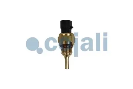 Датчик рівня охолоджуючої рідини COJALI 2262054
