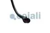 Віскомуфта вентилятора охолодження EURO 6 IVECO EUROCARGO V F4AFE611A/F4AFE611C/F4AFE611E 09.15- COJALI 7053813 (фото 5)