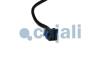 Віскомуфта вентилятора охолодження (кількість контактів: 5) JOHN DEERE COJALI 8521124 (фото 4)