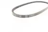 Ремень генератора VW Caddy/Golf/Passat/Polo 1.4-2.0 91-02/Seat Alhambra/Ibiza 91-10 (755x11.5) CONTINENTAL Contitech 11,5X755Ld (фото 3)