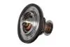 Термостат Opel Combo/Astra G/H/Corsa 1.7 CDTI 00- (заменен на TX 179 89D) Contitech 28020040752 (фото 1)