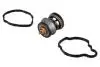 Термостат BMW 3 (F30/F80)/5 (F10/G30/F90)/7 (G11/G12)/X5 (F15/F85) 11- (88°C) Contitech 28020040852 (фото 1)