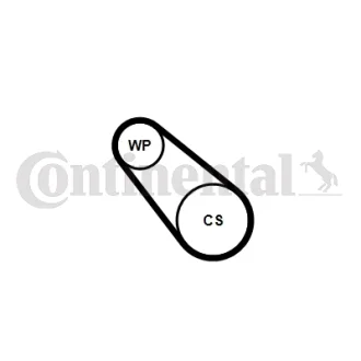 Комплект ГРМ (ремінь + ролик + водяний насос) DS DS 3, DS 4 CITROEN BERLINGO/MINIVAN, C3 AIRCROSS I, C3 III, C3 ORIGIN III, C4 CACTUS, C4 PICASSO II, DS3, DS4, GRAND C4 SPACETOURER 1.2 01.13- Contitech 3PK576ELASTWP2 (фото 1)