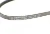 Ремень генератора Hyundai Elantra/ Matrix 1.8 01-10/ Nissan Micra 1.0-1.4 02-10/ Note 1.4 06-12 CONTINENTAL Contitech 3PK670 (фото 4)