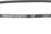 Ремень генератора Mazda 323 89-04/ Mitsubishi Pajero II 3.5 V6 94-99 CONTINENTAL Contitech 4PK1000 (фото 2)