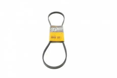 Ремінь генератора Haval H5 2.4 10-/Toyota Land Cruiser Prado 2.7 95-02/Hiace 98-06/Fiat/Lancia/Nissa CONTINENTAL Contitech 4PK1100