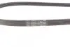 Ремень генератора Citroen Jumper/Fiat Ducato/Peugeot Boxer 3.0HDi/D 06- CONTINENTAL Contitech 4PK1102 ELAST (фото 3)