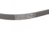 Ремінь генератора Mitsubishi Pajero 2.5 TD 90-/ L 200 2.5 96-07 CONTINENTAL Contitech 4PK1125 (фото 3)