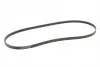Ремень генератора Audi A4/A6 2.5TDI 00-05/ Peugeot 205/305/309 1.9-2.5 TD 90-94 CONTINENTAL Contitech 4PK1217 (фото 5)