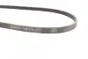 Ремінь генератора Ford Kuga II/Focus III 2.0-2.5 12- CONTINENTAL Contitech 4PK1360 (фото 2)