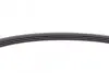 Ремень генератора Fiat Doblo/Punto/Panda 1.2-1.4 10-/Opel Combo 1.4 12-/Chevrolet Aveo 1.2 05-07 CONTINENTAL Contitech 4PK665 (фото 4)