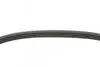 Ремень генератора Hyundai i10/i20/i30 1.1/1.6CRDi 08-13/Fiat Doblo/Punto/Stilo 1.2/1.4 01- CONTINENTAL Contitech 4PK673 (фото 2)