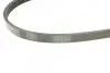 Ремень генератора Smart Fortwo 0.6-0.7i 02-07/Mitsubishi Colt 1.5 05-12/Chevrolet Matiz 0.8 05- CONTINENTAL Contitech 4PK790 (фото 3)