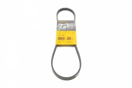 Ремень генератора Honda Civic/Nissan Primera CONTINENTAL Contitech 4PK845