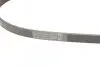 Ремінь генератора Hyundai Accent 1.3-1.6 94-11/ Toyota Carina/ Corolla 1.6-2.0 93-01 CONTINENTAL Contitech 4PK850 (фото 3)