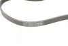 Ремень генератора Skoda SuperB 01-08/VW Passat B5/Hyundai Accent 95-05/Tucson/Kia Sportage/Ceed 04- CONTINENTAL Contitech 4PK855 (фото 3)