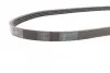 Ремінь генератора Mazda 323 1.3-1.8 89-04/BMW 3 (E46)/7 (E65/E66/E67) 3.0d 02-05/Kia Rio 1.5 00-05 CONTINENTAL Contitech 4PK885 (фото 2)