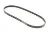 Ремінь генератора Hyundai Tucson/i30/Kia Sportage/Carens/Ceed/Suzuki Grand Vitara 04-/Audi/BMW/Mazda CONTINENTAL Contitech 4PK890 (фото 5)