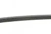 Ремінь генератора Renault Kangoo/Clio 1.2i 97-/Fiat Scudo 1.6i 96-06/Nissan Kubistar 1.2 03- CONTINENTAL Contitech 4PK905 (фото 2)