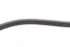 Ремень генератора Fiat Fiorino 1.4/1.6i 93-01/Mitsubishi Galant 1.8/2.0 87-03/Toyota Hilux 2.4 97-05 CONTINENTAL Contitech 4PK938 (фото 4)